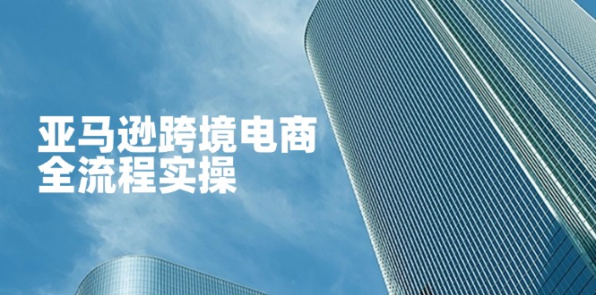 (14252期)亚马逊跨境电商全流程实操,教你从零开始,掌握店铺运营与广告技巧-云创终点站