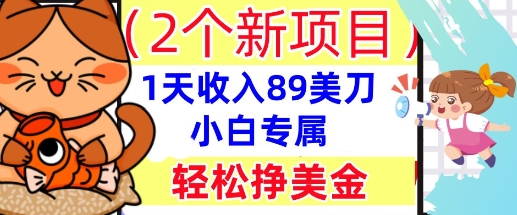 2个新项目,轻松挣美金, 1天收入89美刀,小白专属,干货分享-云创终点站
