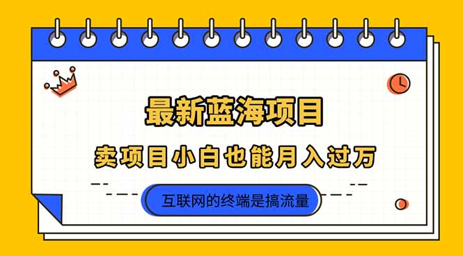 (14289期)2025年最新蓝海项目,卖项目小白也能月入过万-云创终点站