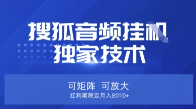 【搜狐音频挂G】独家技术,可矩阵可放大,红利期稳定月入8k【揭秘】-云创终点站