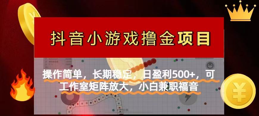 (14290期)【抖音小游戏发行人计划项目】操作简单,长期稳定,日盈利500+,可工作...-云创终点站