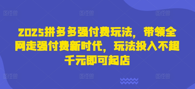 2025拼多多强付费玩法,带领全网走强付费新时代,玩法投入不超千元即可起店-云创终点站