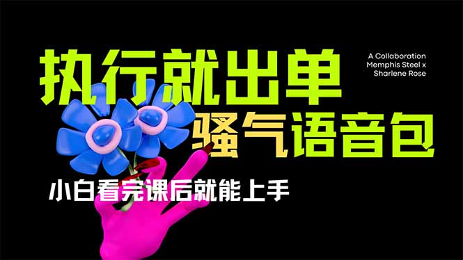 (14170期)爆火全网的开车导航骚气语音包,只要执行就出单,小白看完课程就能实操...-云创终点站