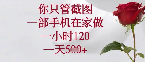 你只管截图,一部手机在家操作,一小时120.一天5张【揭秘】-云创终点站